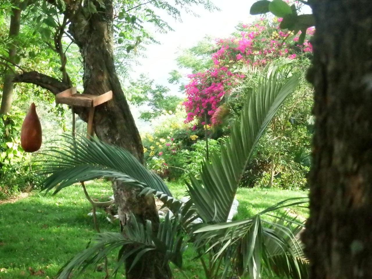 Welikande Yoga Retreats Hotel Дигана Екстериор снимка